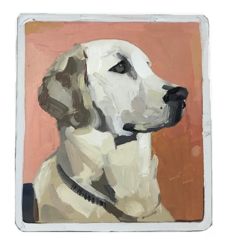 ELLEN NORRISH - Peach Labrador