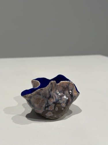 ERIN GINTY - hatched alien egg 13