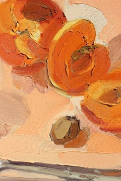 KATHRYN HAUG - Apricots